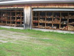 HARDWOOD LUMBER MILL EQUIPMENT - FORKLIFT - GENERATORS SOLD! Auction Photo