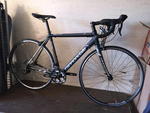 CANNONDALE CAAD 8 51CM BICYCLE Auction Photo