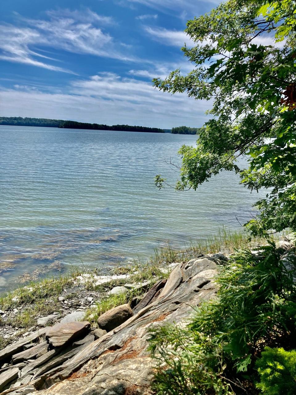 7.8+/- Acre Waterfront Home Site - Middle Bay Auction