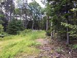 1+/- Acre Residential Lot Auction Photo