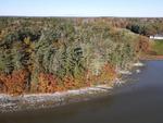 7.8+/- Acre Waterfront Home Site - Middle Bay Auction Photo