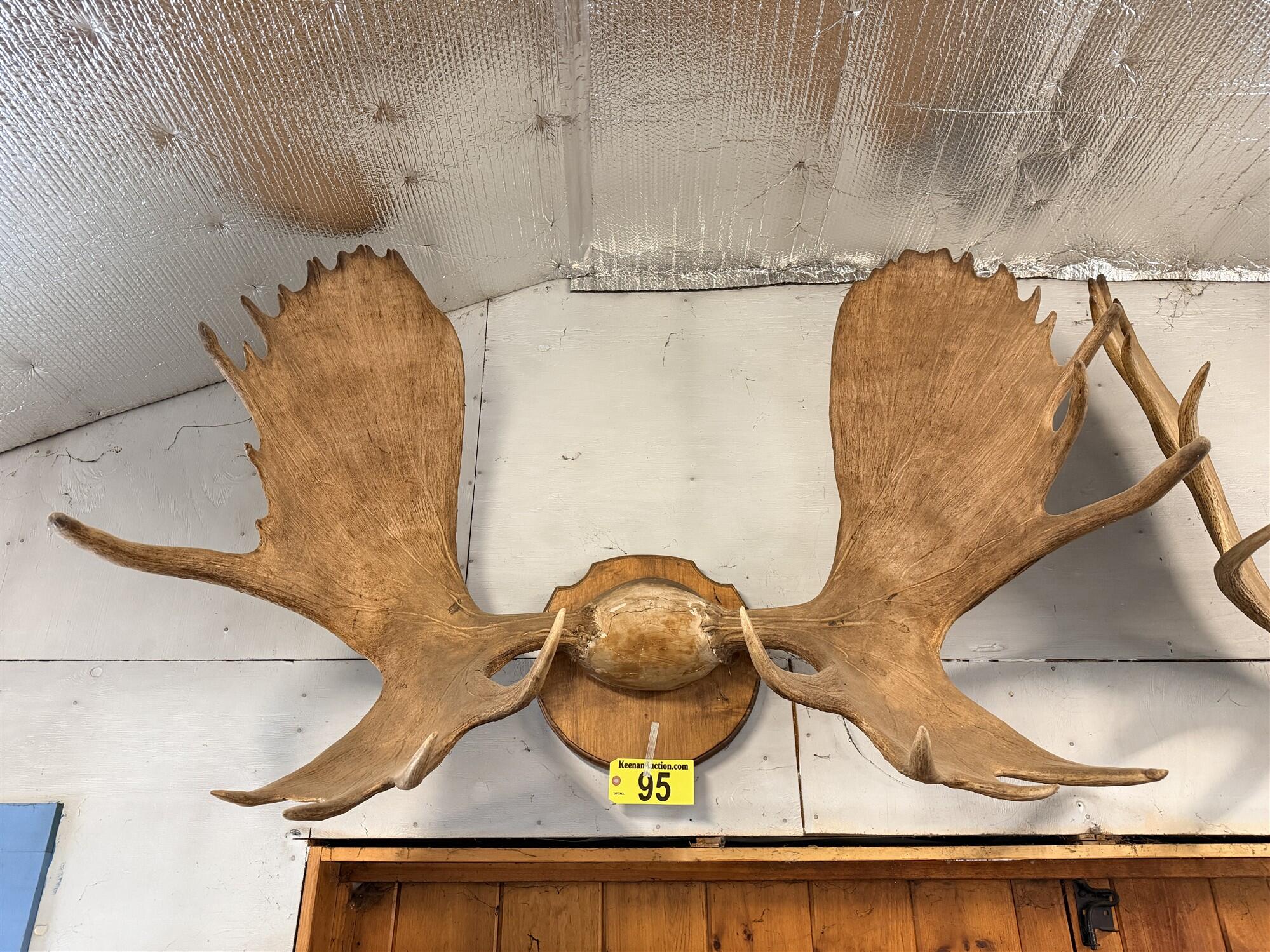 PUBLIC TIMED ONLINE AUCTION6-FIREARMS, LONG GUNS, PISTOL, AMMO, FISHING Auction