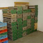 Produces Boxes Auction Photo