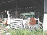 SAWMILL & PALLET MILL - TRUCKS - TRAILERS - FORKLIFTSSOLD Auction Photo