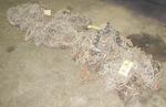 REAL ESTATE & EQUIPMENT  RE: SHERMAN LUMBER COMPANYCatalog Available Auction Photo