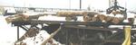 REAL ESTATE & EQUIPMENT  RE: SHERMAN LUMBER COMPANYCatalog Available Auction Photo