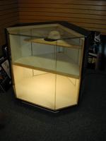 (1) of (6) lighted displays Auction Photo
