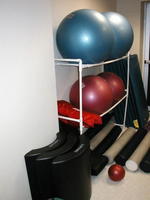Stability Balls Auction Photo