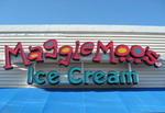 CONTENTS OF QUIZNOS SANDWICH SHOP & MAGGIE MOO'S ICE CREAM SOLD! Auction Photo