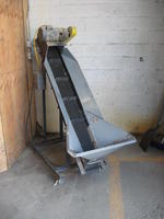 Incline Conveyor Auction Photo