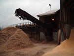 Bark waste conveyor, 50’ Auction Photo