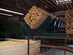 Lumber lift unloader, 4 arm tilt hoist, 12’ Auction Photo