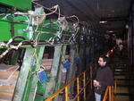 48-bin lumber sorter Auction Photo