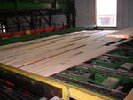 Infeed deck to stacker Auction Photo