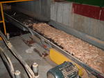 Webster 36' vibrating conveyor Auction Photo