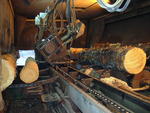 MAJOR SAWMILL/PLANER MILL AUCTION - ROLLING STOCK - SORTER/STACKER LINE - 2007 BOILER - KILNS Auction Photo