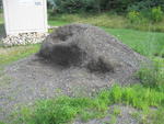Screening Plant- New Stove Shop Inventory- Pellet Stoves-RE:MAINELY STOVES, SACO, ME Auction Photo