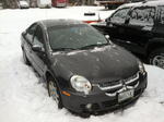 2004 DODGE NEON SXT SEDAN Auction Photo