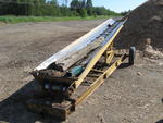 INCLINE OUTFEED CONVEYOR Auction Photo