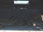 LOT OF FIREWOOD Auction Photo