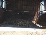 LOT OF FIREWOOD Auction Photo