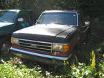 1989 Ford F150 XLT 4wd Pickup Auction Photo