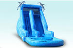 Dolphin Water Slide Auction Photo