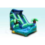 Curvy Tropical Water Slide Auction Photo