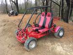 DUNE BUGGY Auction Photo