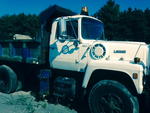 1987 FORD L8000 Auction Photo