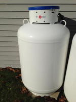 100 Gallon Propane Tank Auction Photo