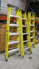 FIBERGLASS LADDERS Auction Photo