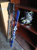 Axis 110 Skis Auction Photo
