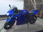 2009 Kawasaki Ninja 250R Auction Photo