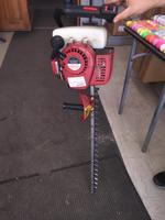 HEDGE TRIMMER Auction Photo