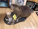 TIMED ONLINE AUCTION TAXIDERMY, FIREARMS, FURNITURE, SHOP EQUIPMENT   Auction Photo