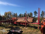 1986 DELOUPE LOG TRAILER Auction Photo