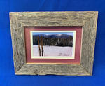 TIMED ONLINE AUCTION SUGARLOAF CHARITY SUMMIT  Auction Photo