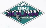 Lot 11 - Skiing Big Sqaw Auction Photo