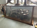 TIMED ONLINE AUCTION TAXIDERMY, FURNITURE, MUSICAL INSTRUMENTS Auction Photo