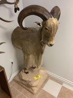 TIMED ONLINE AUCTION TAXIDERMY, FURNITURE, MUSICAL INSTRUMENTS Auction Photo