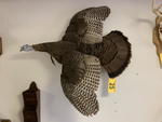 TIMED ONLINE AUCTION TAXIDERMY, FURNITURE, MUSICAL INSTRUMENTS Auction Photo