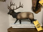 TIMED ONLINE AUCTION TAXIDERMY, FURNITURE, MUSICAL INSTRUMENTS Auction Photo