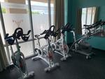 SECURED PARTY'S SALE BY TIMED ONLINE AUCTION FITNESS EQUIPMENT  Auction Photo