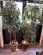2-ARTIFICIAL TREES Auction Photo