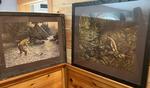 VINTAGE FISHING PRINTS Auction Photo