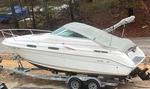 1996 SEARAY 230 Auction Photo