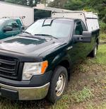 2014 FORD F150 Auction Photo