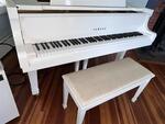 PUBLIC TIMED ONLINE AUCTION YAMAHA DISKLAVIER PLAYER GRAND PIANO Auction Photo