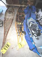 SNOWSHOES Auction Photo